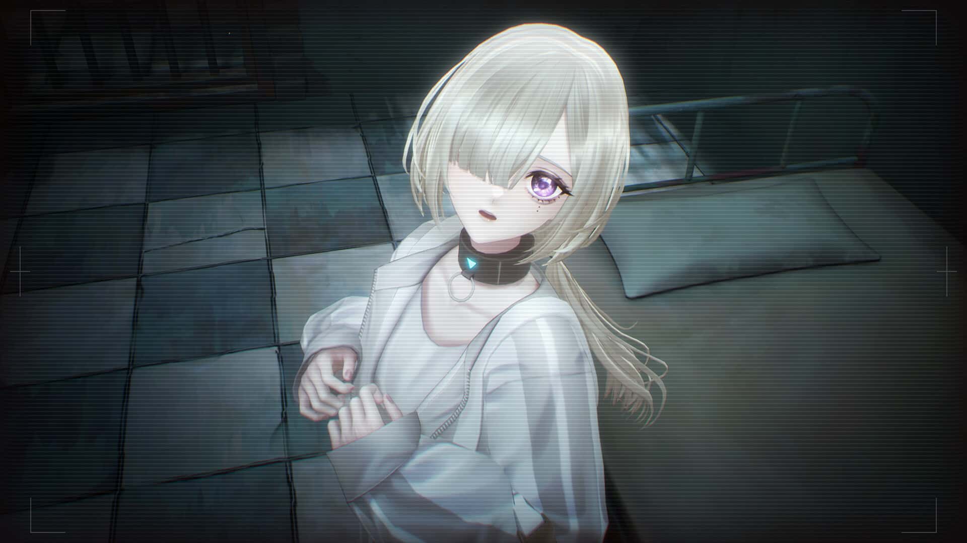 视觉数据4